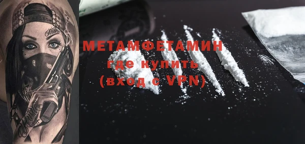 прущие грибы Медногорск