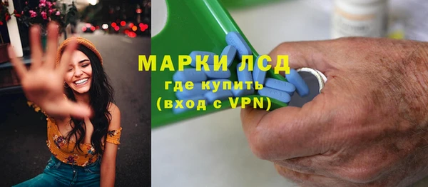 прущие грибы Медногорск