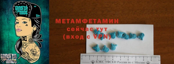 прущие грибы Медногорск