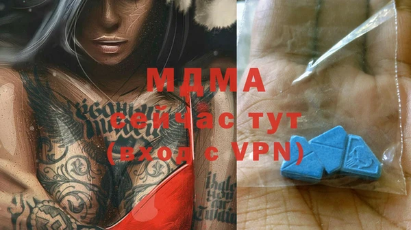 прущие грибы Медногорск