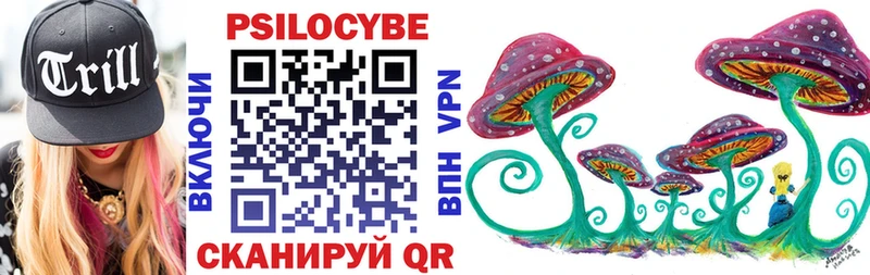 купить наркотики сайты  Черемхово  Галлюциногенные грибы Psilocybine cubensis 